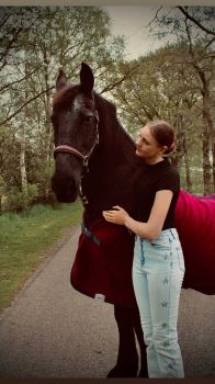 Glutenvrije bakkerij aan huis