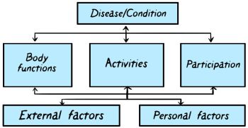 Our scientific research 