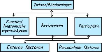 Ons wetenschappelijk onderzoek